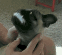 1670499543921.png