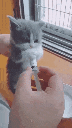 1670665238_7.gif
