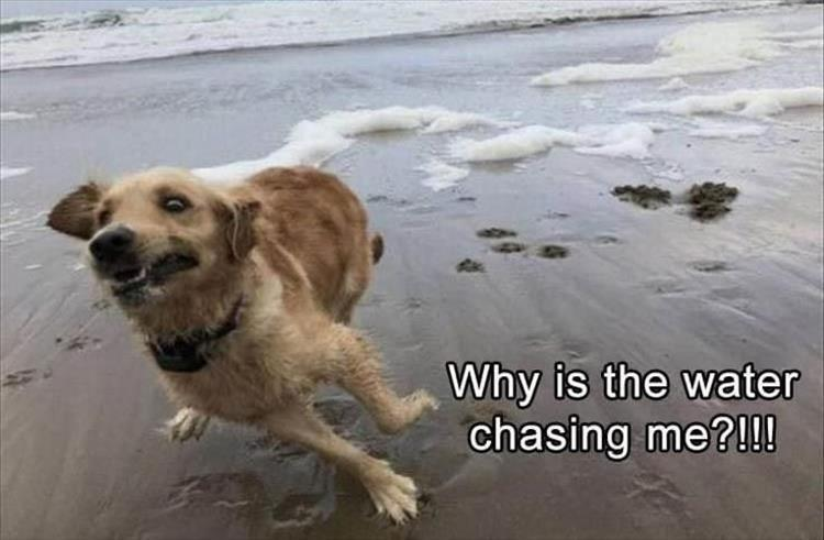 1670830379625.png
