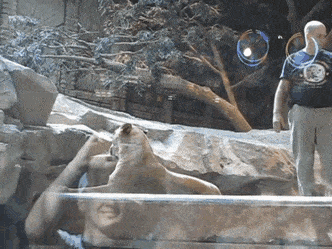 1670876386_4.gif