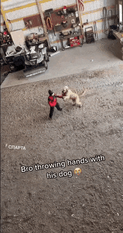 1670876442_13.gif