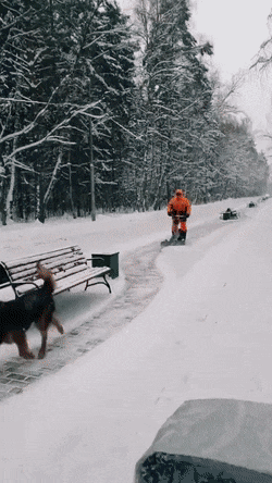 1670967482_kesm9liobk.gif