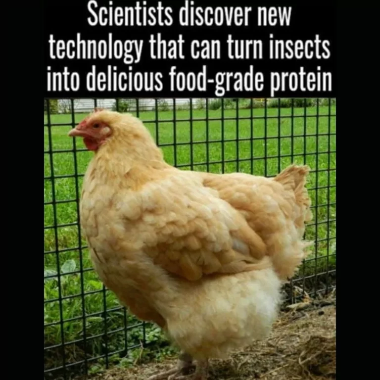 1670986775211.png
