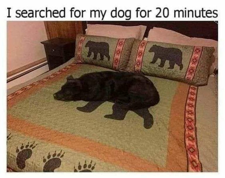 1670990739384.png