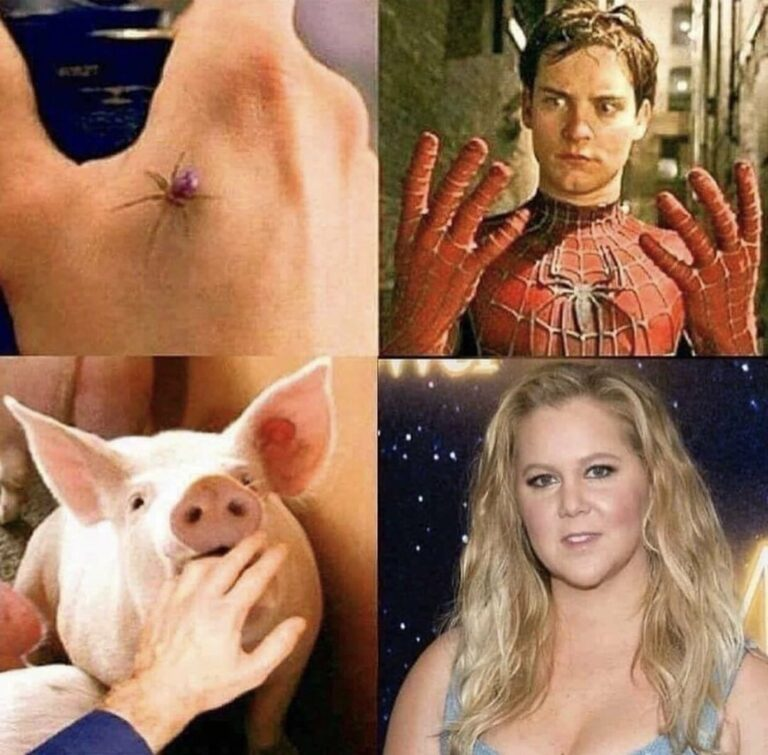 1670992130893.png