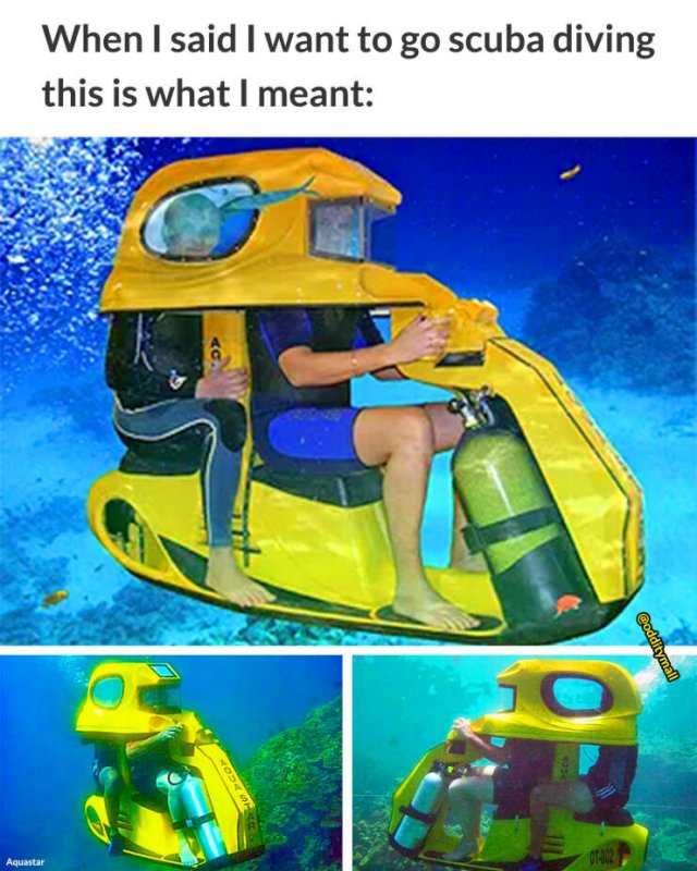 1671056026_ig0fqefhbz.jpg
