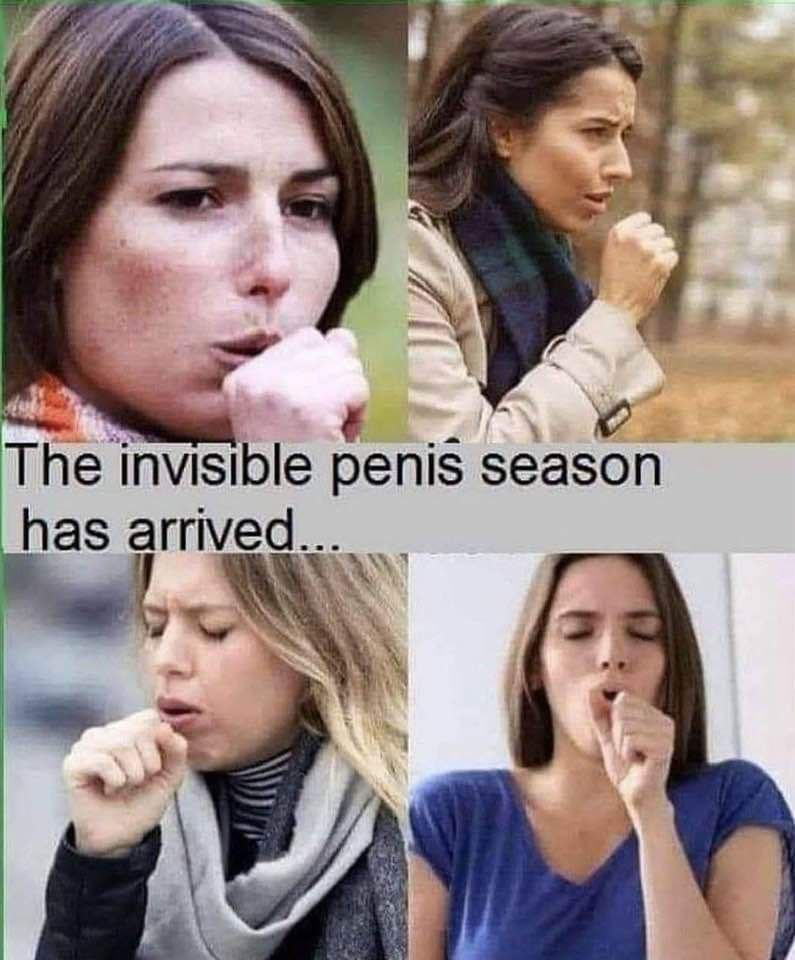 1671138775252.jpeg