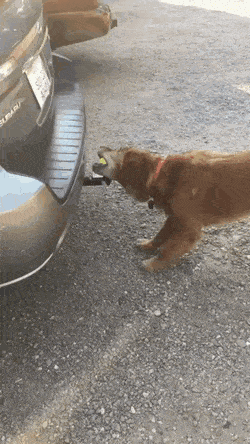 1671214879_5.gif