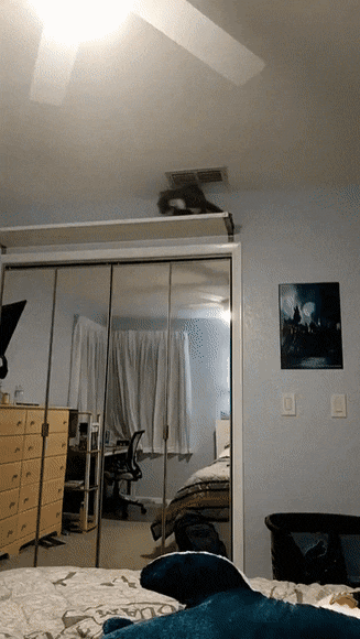 1671637718_6.gif