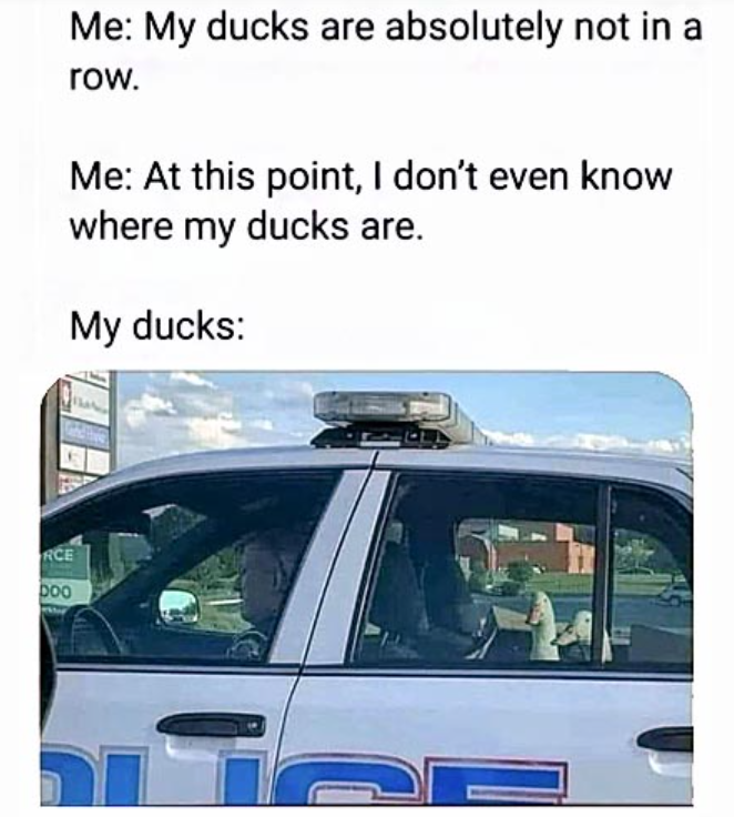 1671722936106.png