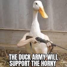 1671736217458.jpeg
