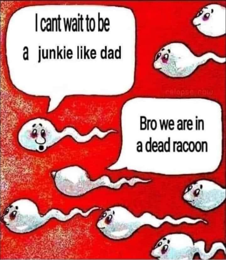1671753981639.png