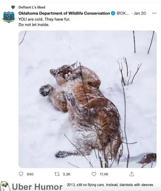 1672023621715.png