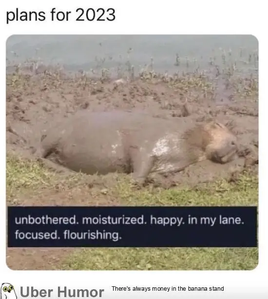 1672266646429.png