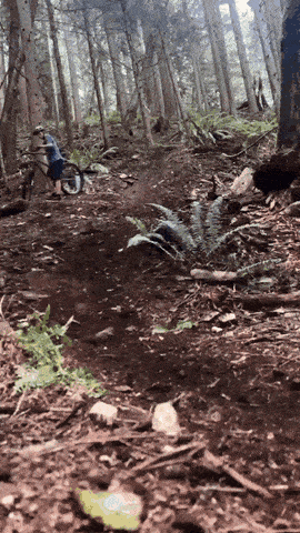 1672421138_11.gif