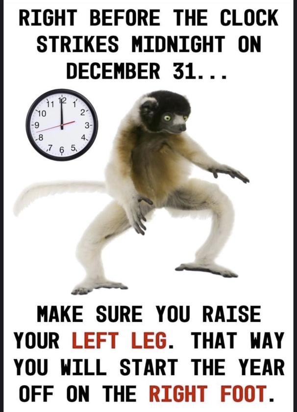 1672502354969.png