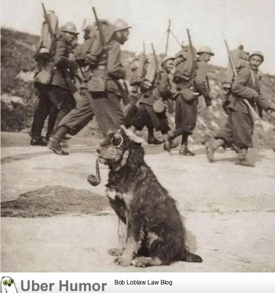 1672623506146.png