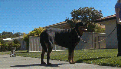 1672772249_8.gif