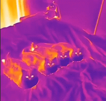 1672854280_21.gif