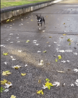 1672854298_19.gif