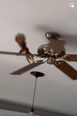 1672854300_25.gif