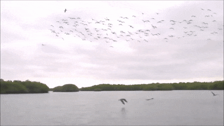 1673193107_6.gif