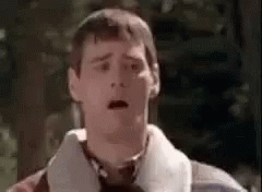 1673216452018.gif