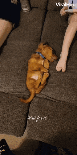 1673281324_7.gif