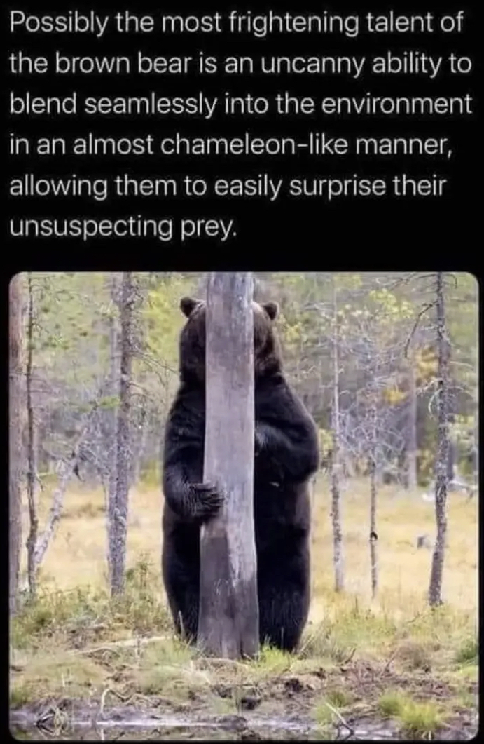 1673322723090.png