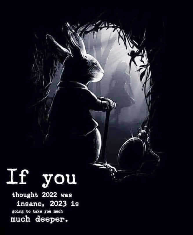 1673323687593.png