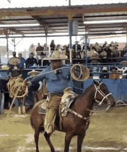 1673377483_22.gif