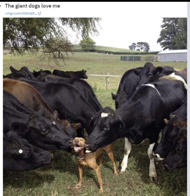 1673382629583.png