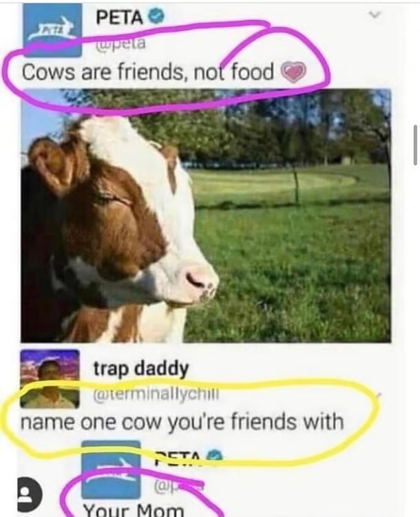 1673394680986.png