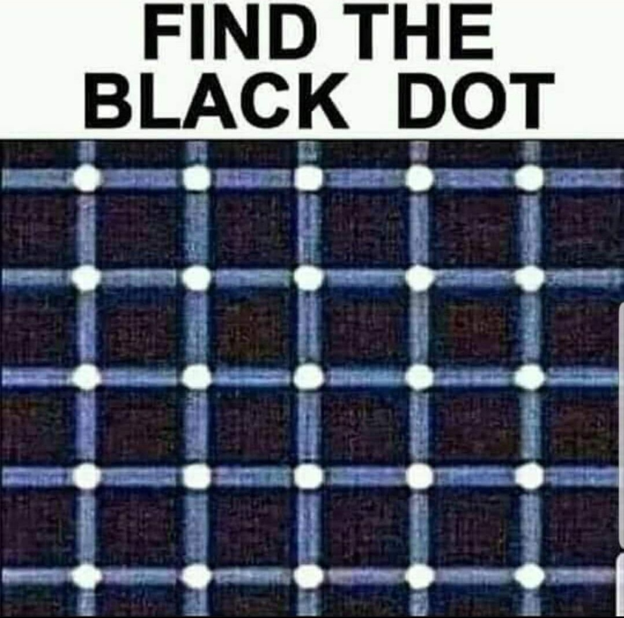 1673447340562.png