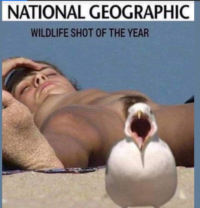 1673466614934.png
