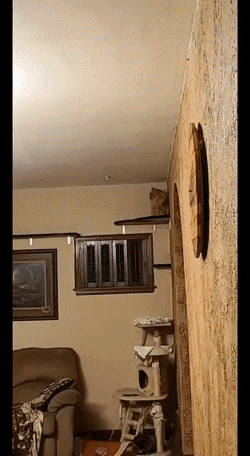 1673614877_17.gif