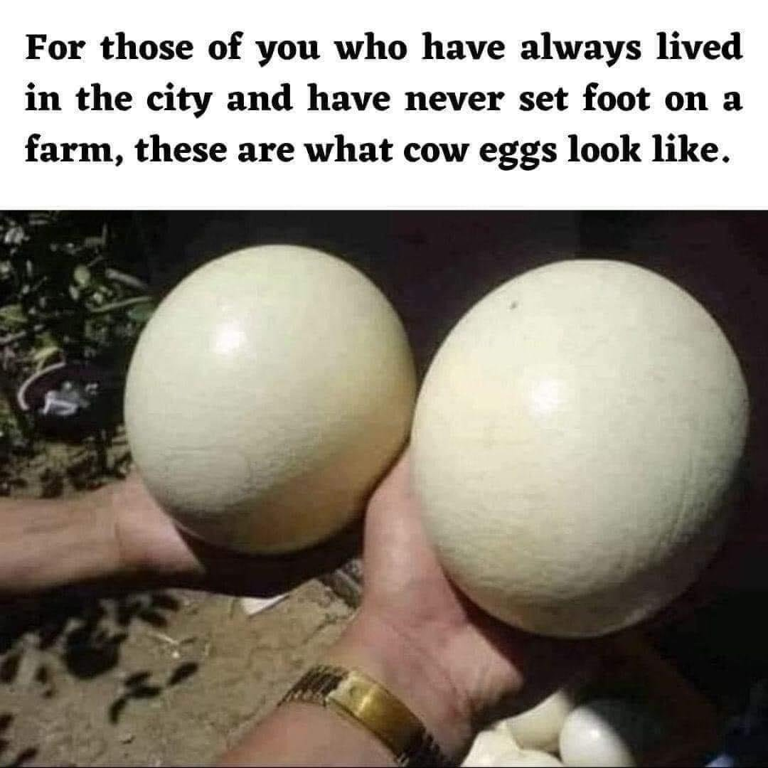 1673682017615.png