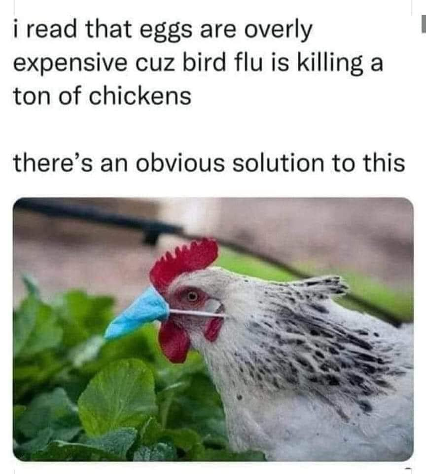 1673757241917.png