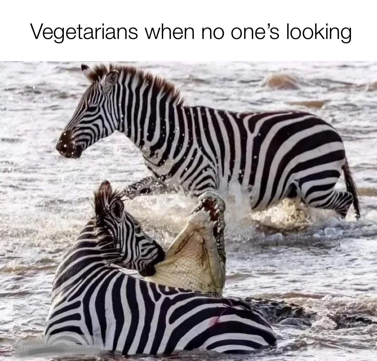 1673780776549.png
