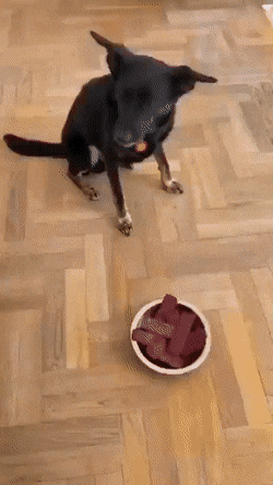 1673897239_16.gif