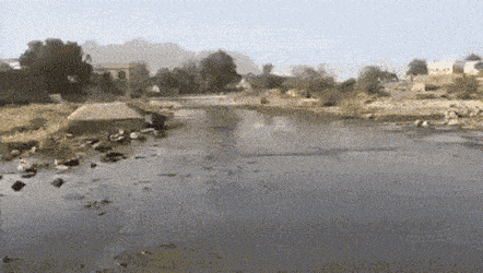 1673897247_5.gif
