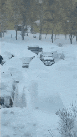 1673979063_24.gif