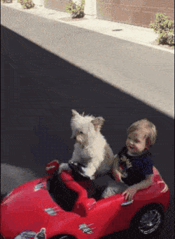 1674066090_14.gif