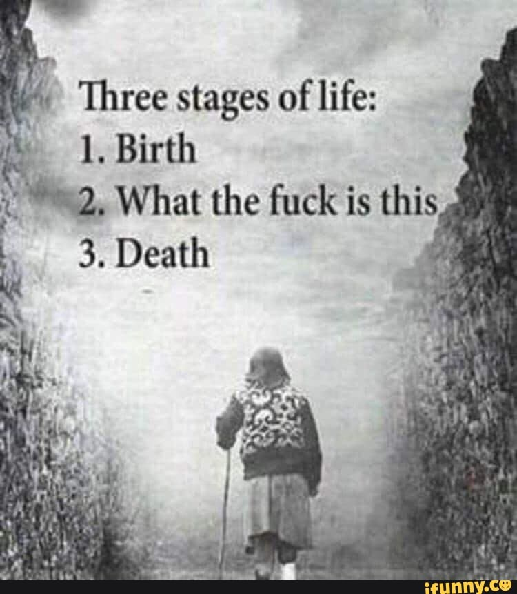 1674076169883.png