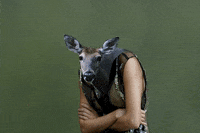 1674124052484.gif