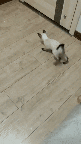 1674161037_17.gif