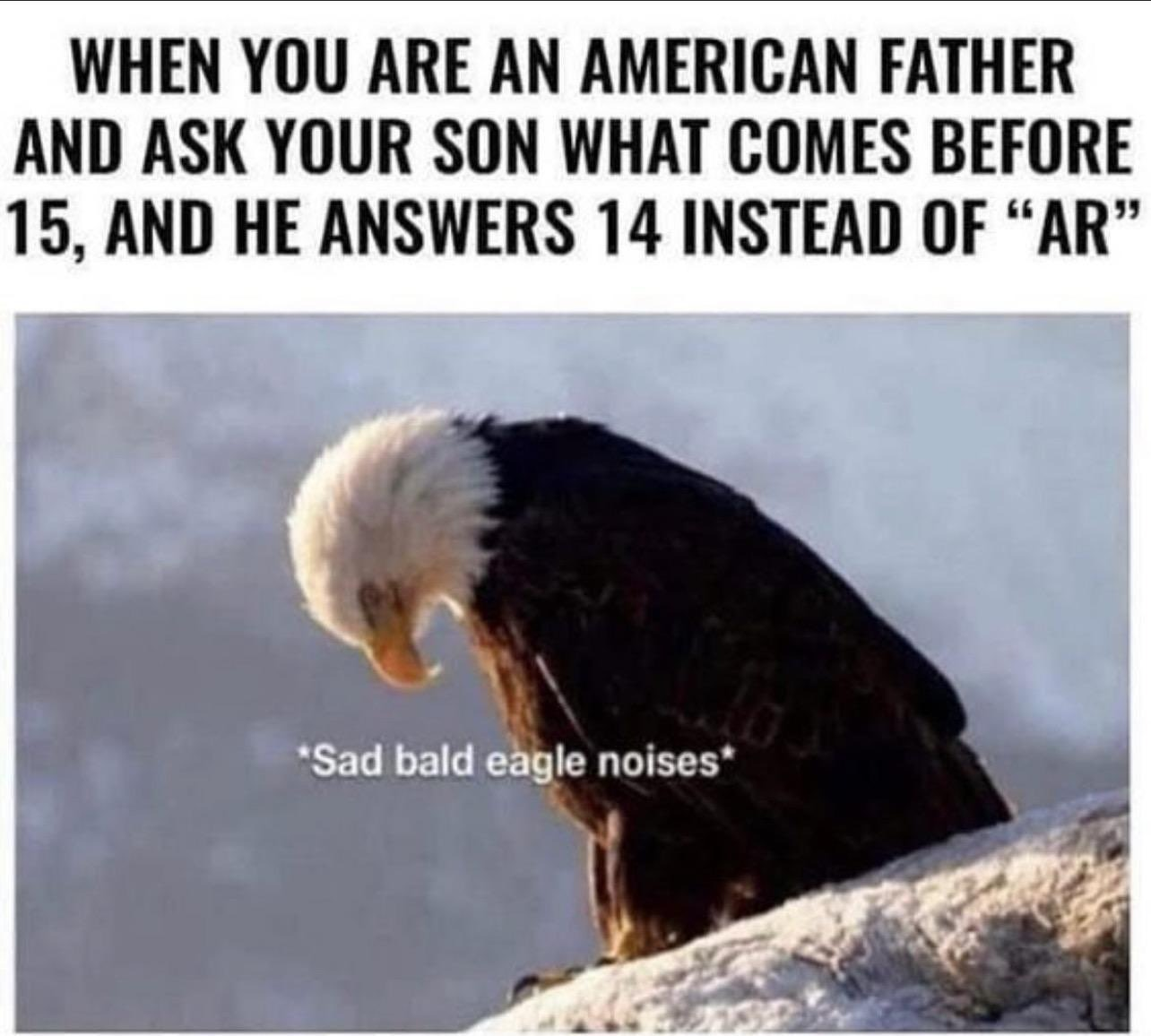1674175942803.png