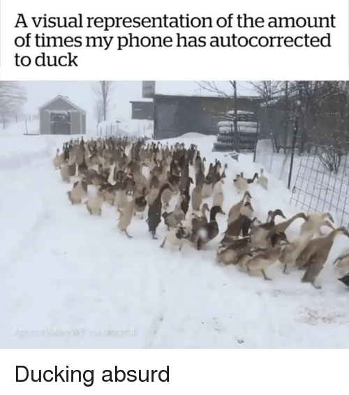 1674271477298.png