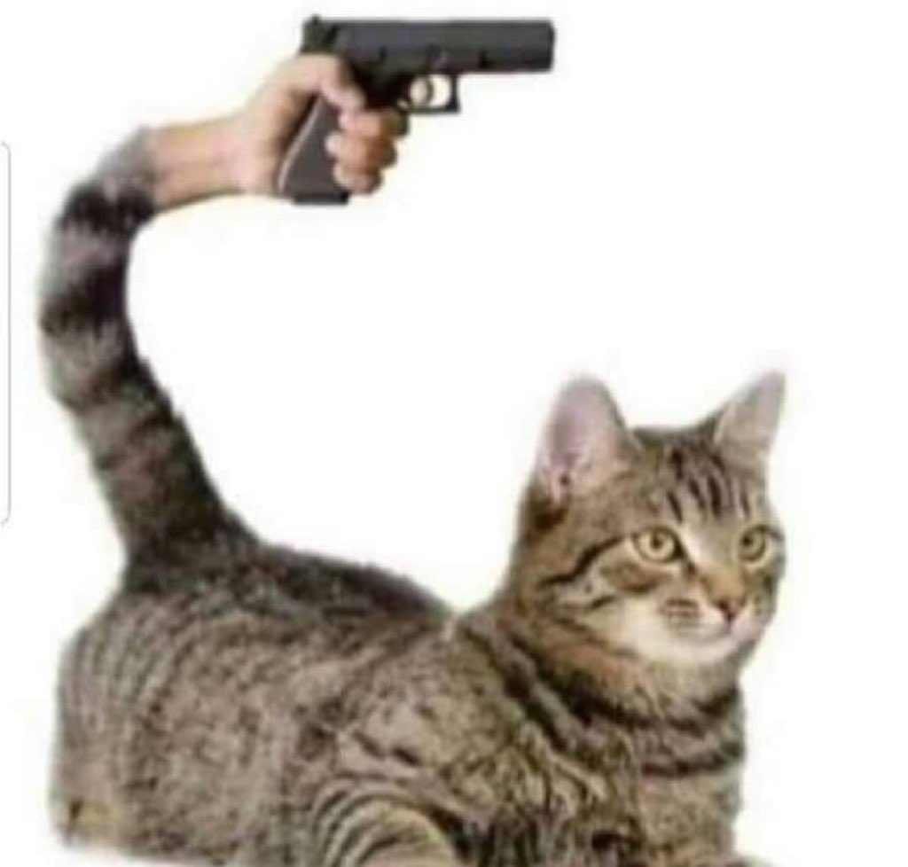 1674274497016.png