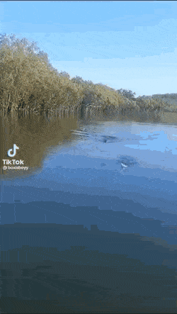 1674332919_17.gif